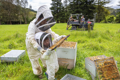 Product Photography - Manuka Honey Taranaki